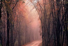 意甲3月最佳球员候选：巴雷拉、法乔利、多夫比克在列.