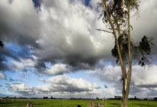 NG28：中超积分榜：海港连胜终结仍领跑，浙江4球大胜升第2，西海岸第3.