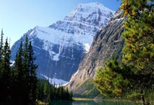 NG28：[国内]2024年进球榜：约克雷斯54球居首 武磊并列排名第2.