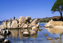 NG28：现场球迷打出tifo：第12人就支持国足！.